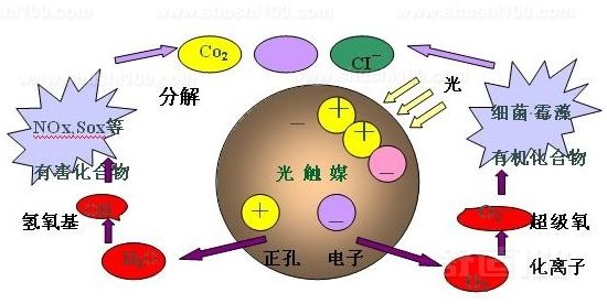 【視頻科普】除甲醛之光觸媒